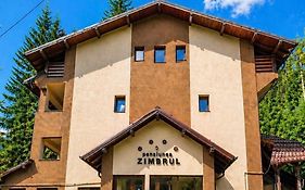 Pensiunea Zimbrul